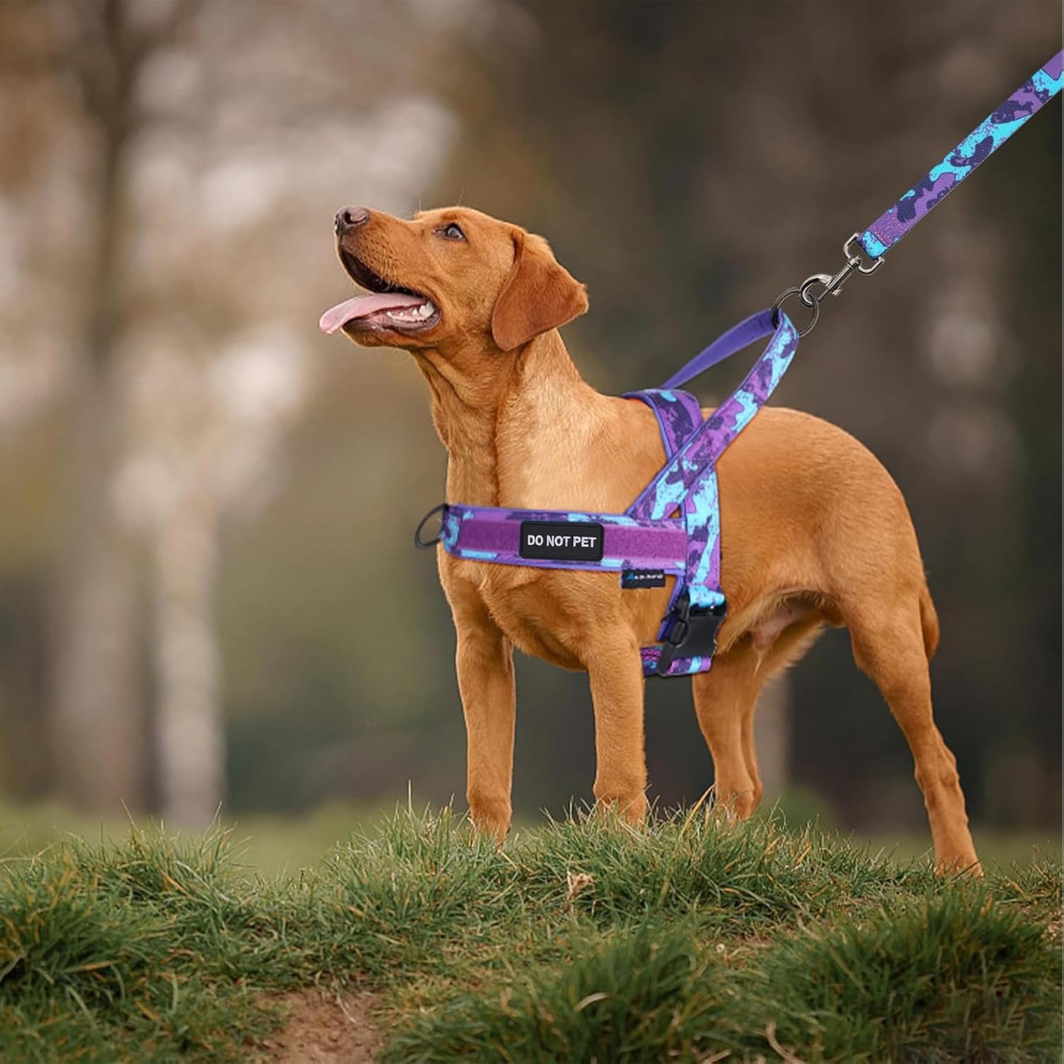 Thumbnail 6 de Annchwool No Pull Dog Harness with Padded Handle + 5 Ft Leash (Camo Purple, Size S) for Training and Daily Walks