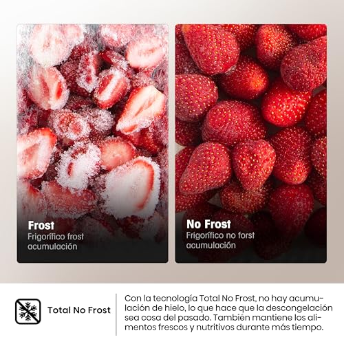 Thumbnail 6 de Hisense RB390N4ACE frigorífico combi 304 L silencioso