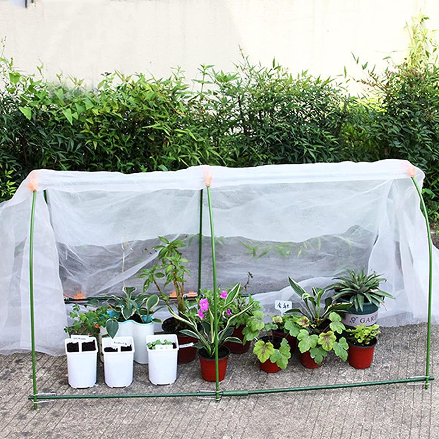 Thumbnail 3 de PALUDO 2 x 3m Heavy Duty Clear Polythene Sheet 0.3mm