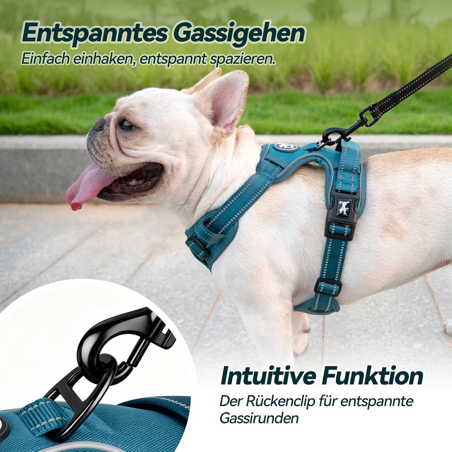 Thumbnail 6 de PoyPet Hundegeschirr Tumalo Teal M, reflektierend