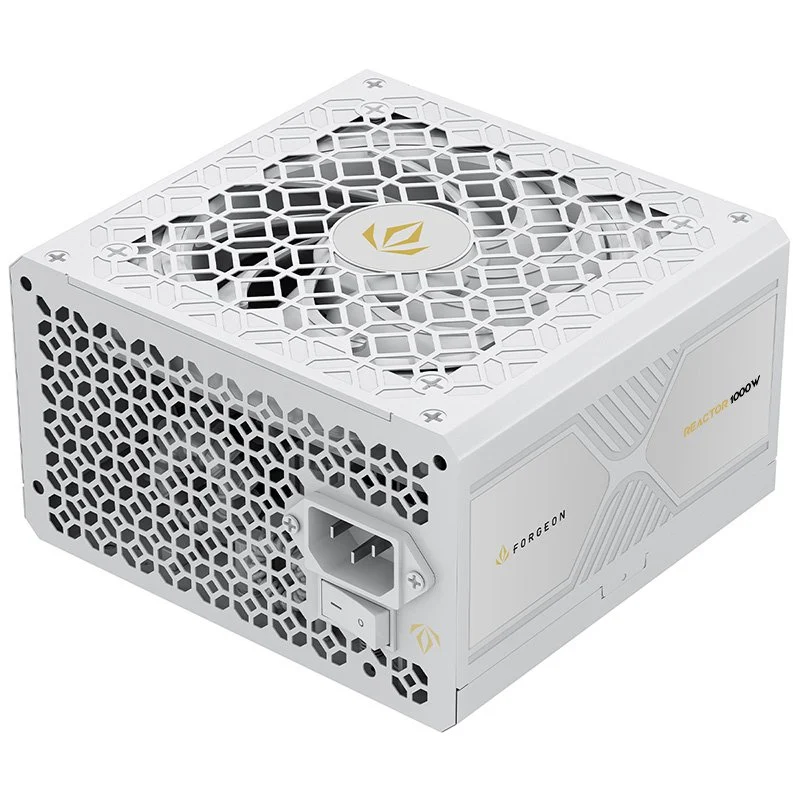 Detalle de Forgeon Reactor 1000 Fuente de alimentación ATX 3.1