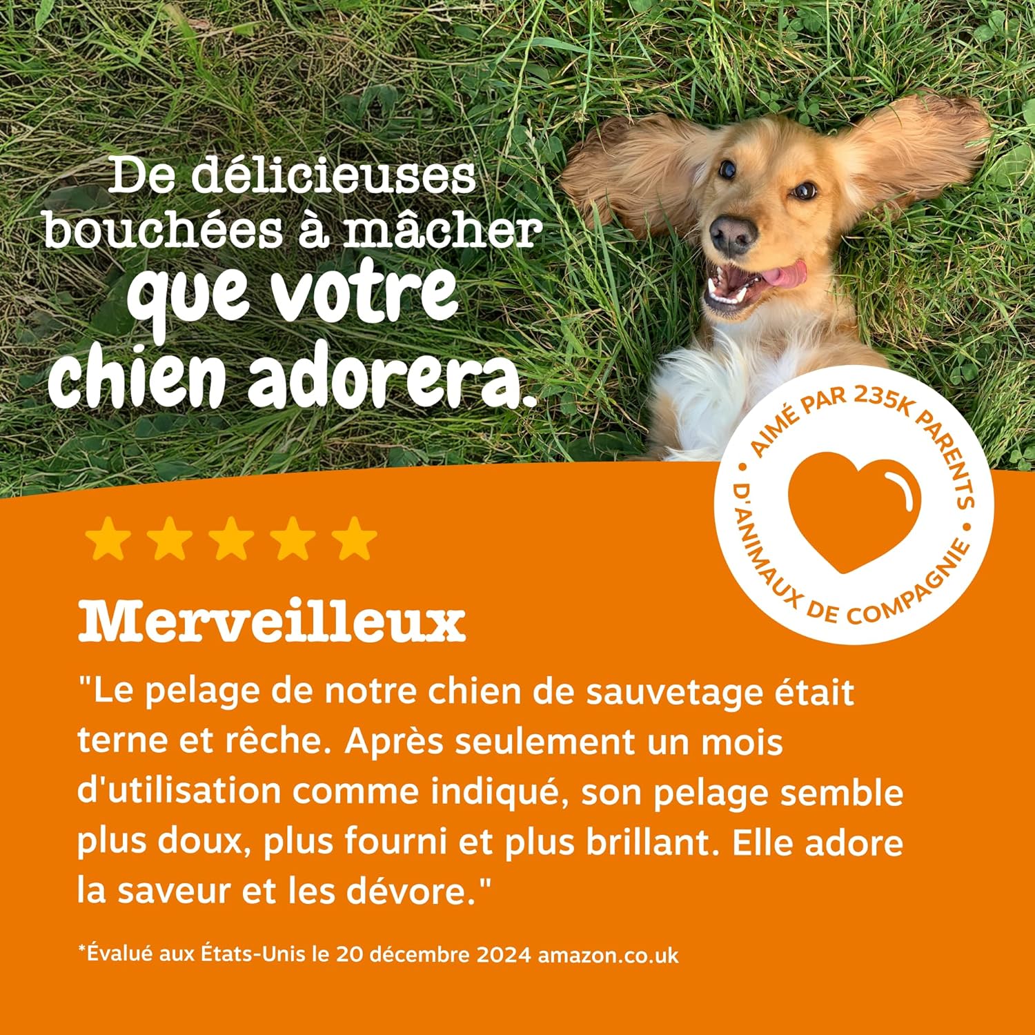 Detalle de Zesty Paws Santé Peau et Pelage pour Chiens – Bouchées gourmandes à l’huile de poisson (90 unités)