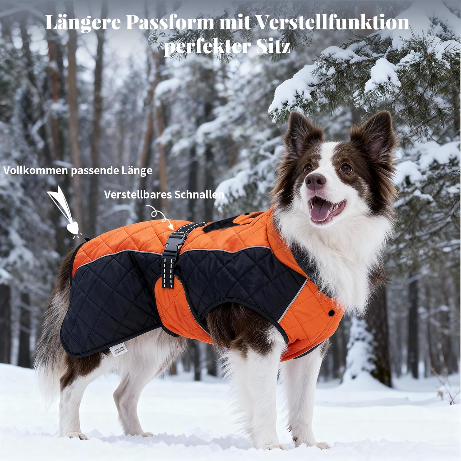 Thumbnail 3 de BECROWM dog winter coat (orange, X-small) with fleece lining, water-resistant outer, reflective strip and leash hole