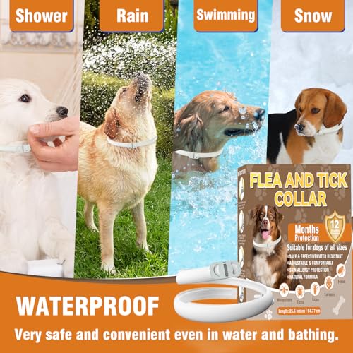 Thumbnail 3 de Inpumo Collar Antiparasitario para Perros: collar antipulgas y garrapatas impermeable con fórmula natural (duración 12 meses)