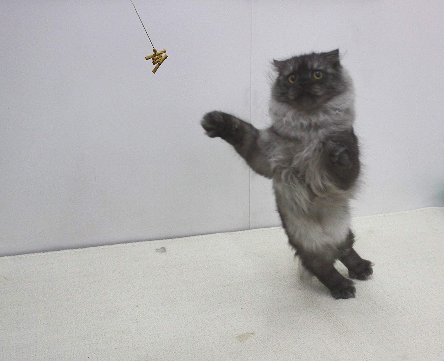 Detalle 2 de Cat Dancer Products Cat Dancer 101 猫用インタラクティブおもちゃ 3個パック、ワイヤーとロール段ボール