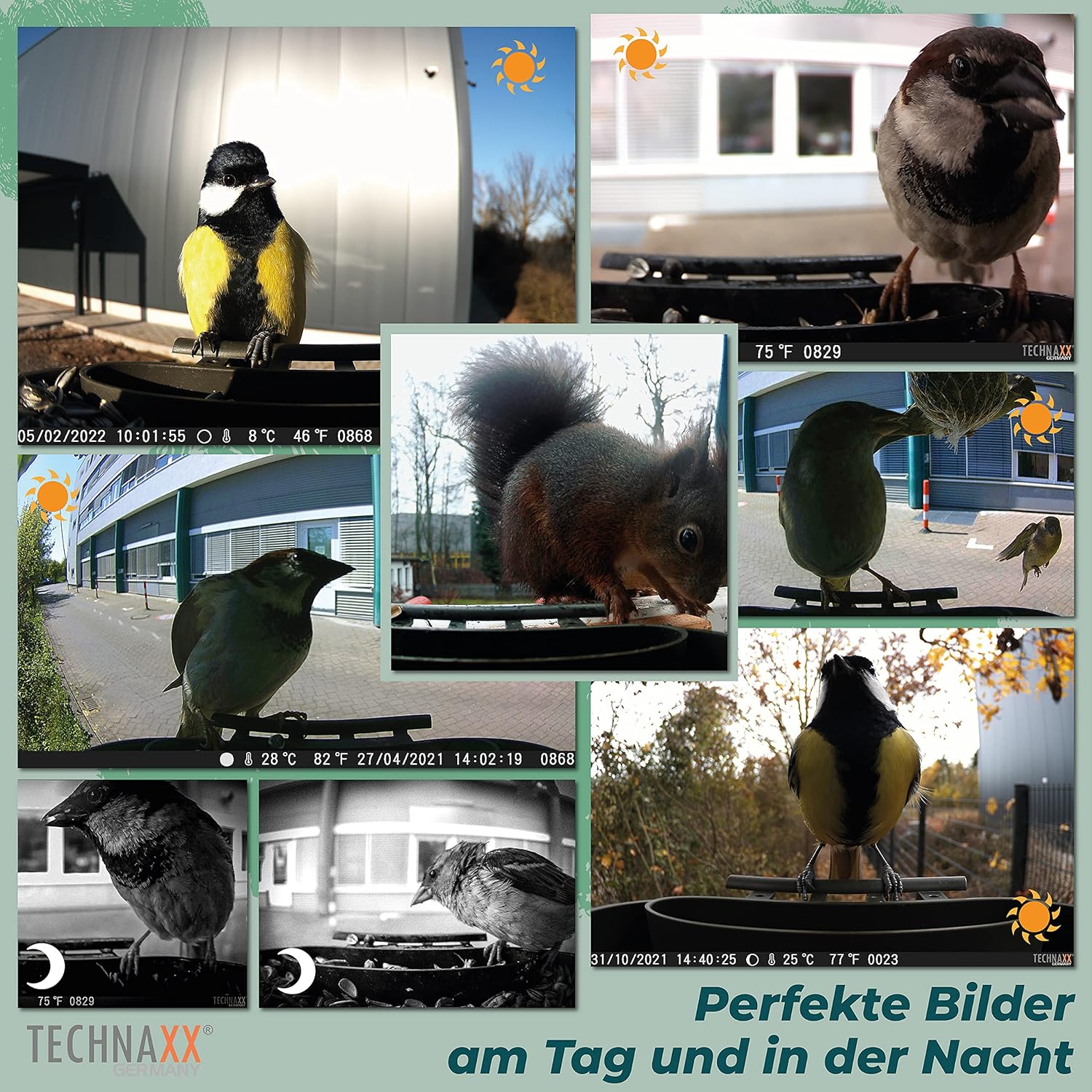 Detalle 2 de Technaxx Full HD Bird Cam TX-165 – Outdoor-Überwachung mit 100° Weitwinkel und Zeitlupenfunktion