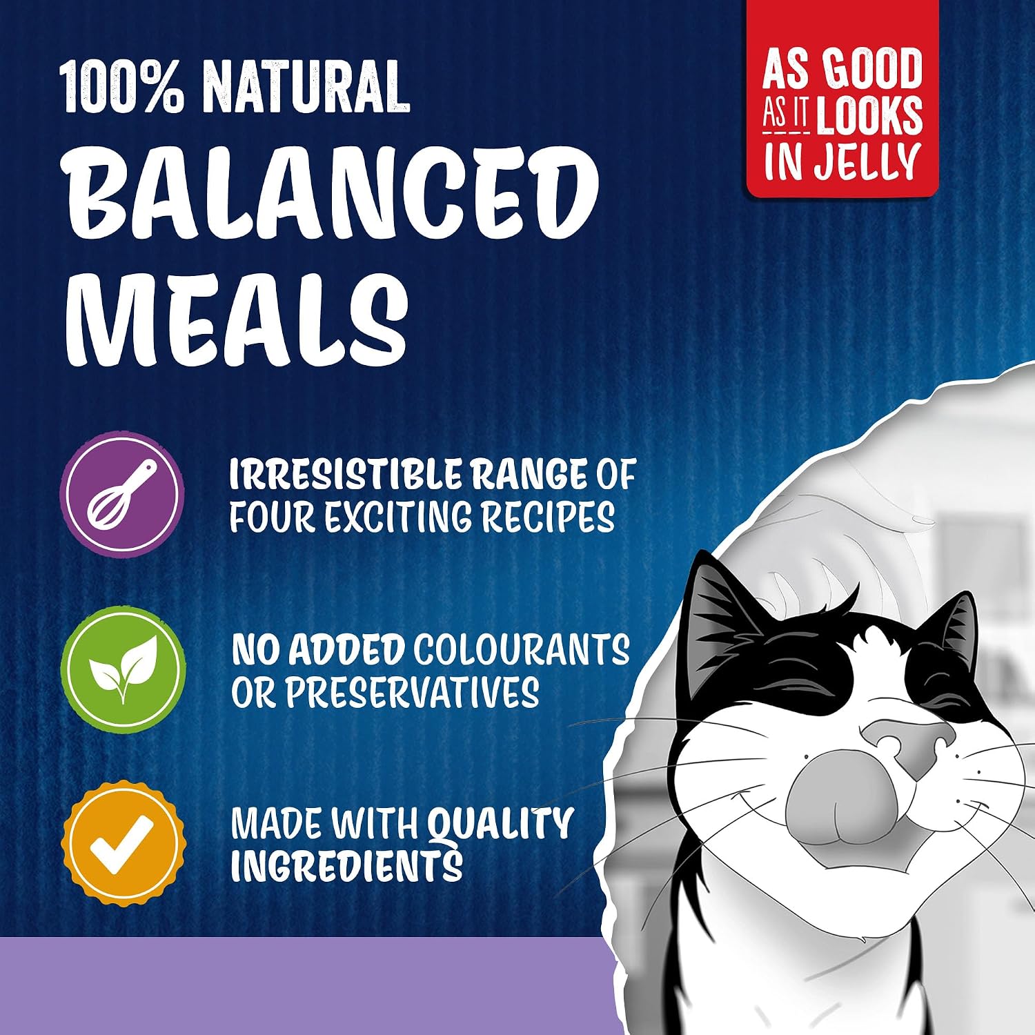 Detalle de Felix As Good As It Looks Favourites Selection in Jelly Wet Cat Food 120x85g