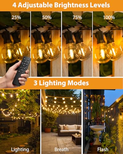 Detalle de Guirlande lumineuse extérieure btfarm 10M avec télécommande – Blanc chaud