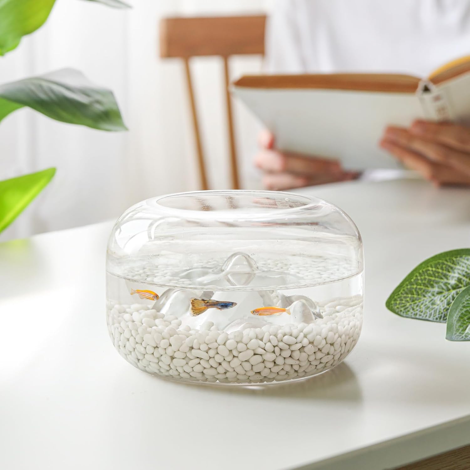 Thumbnail 4 de T4U Tumbled Crystal Chips & Crushed Quartz Gravel (1 lb/450g) – White for succulents, terrariums and aquariums