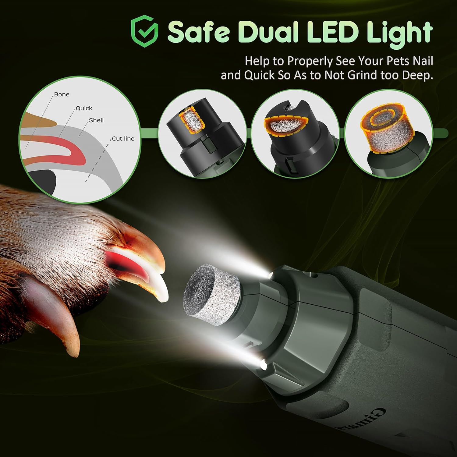 Detalle 2 de Gimars Lime à Ongles pour Chien Réglable 6 Vitesses avec Double LED et Recharge USB