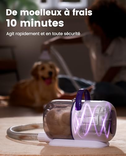 Detalle de oneisall Aspirateur Poil de Chien et Chat – Puissance 12000Pa et 4 Accessoires, 1,5L