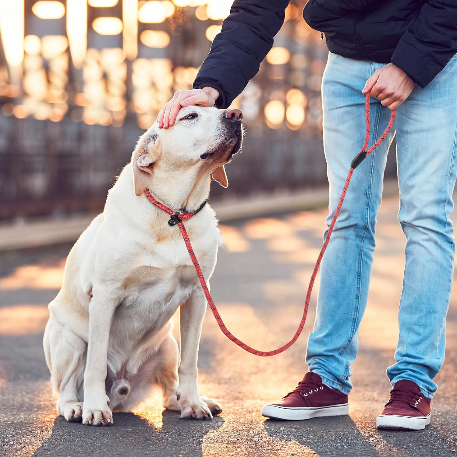 Thumbnail 6 de Loutep Slip Lead Rope Dog Lead (1.8m) with Reflective Stitching