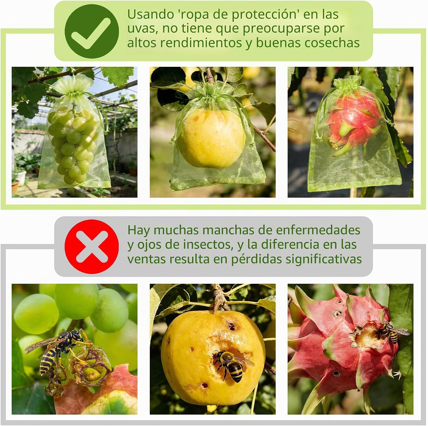 Detalle de 60 Piezas de Bolsas para Uvas en Parra con Cordón de Vegamall (Organza 20x30 cm) + 5 Placas Adhesivas Antiinsectos