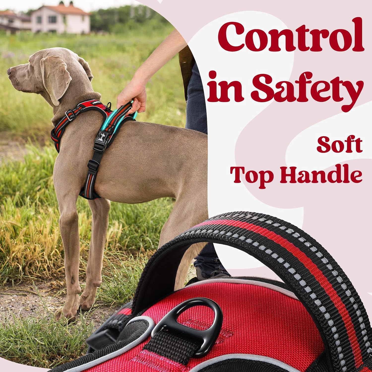 Thumbnail 4 de rabbitgoo Dog Harness Medium Neck Release