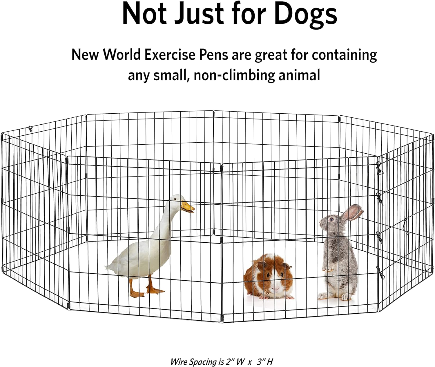 Thumbnail 4 de New World Folding Metal Dog Exercise Pen (No Door) – Black E-Coated, 76cm Tall, 1.5m of Play Space