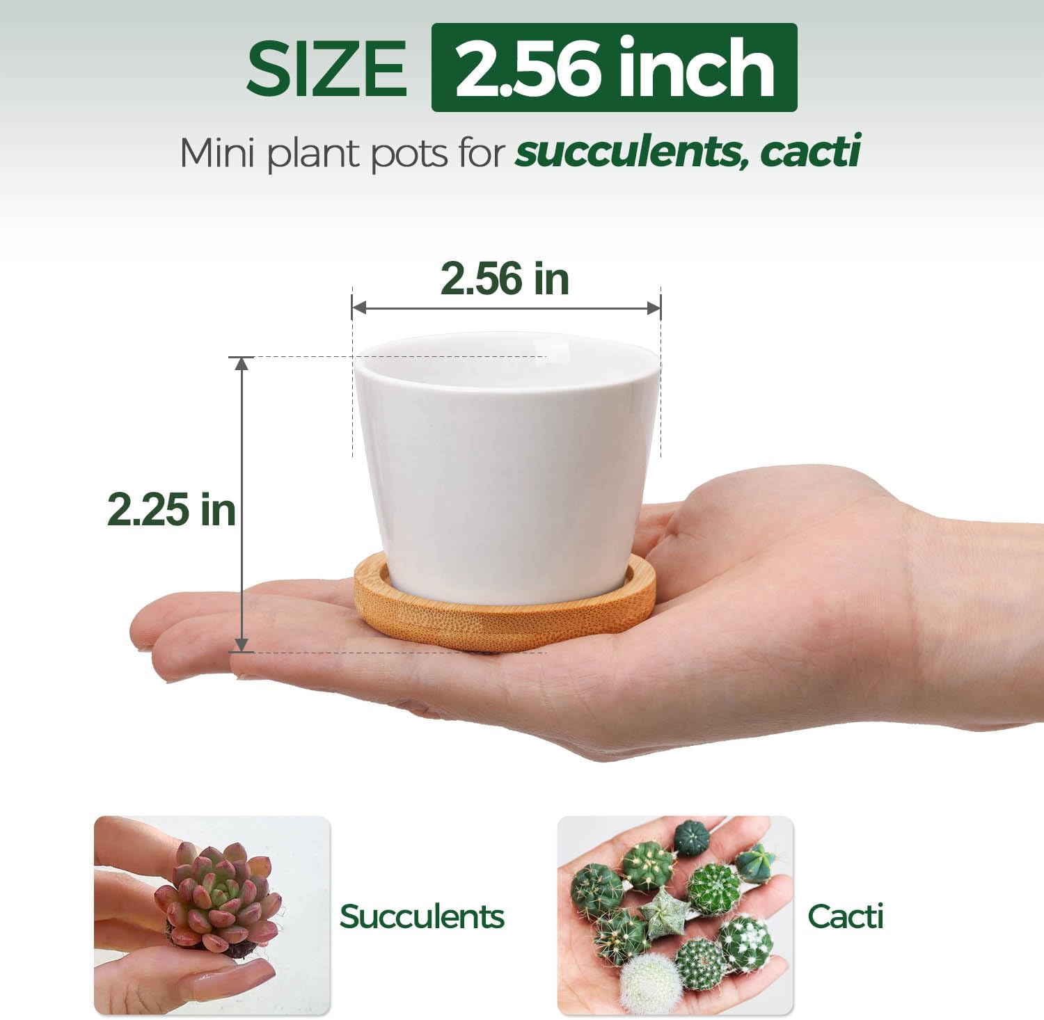 Detalle 2 de T4U Vita keramiska minikrukor, 12-pack med dräneringshål