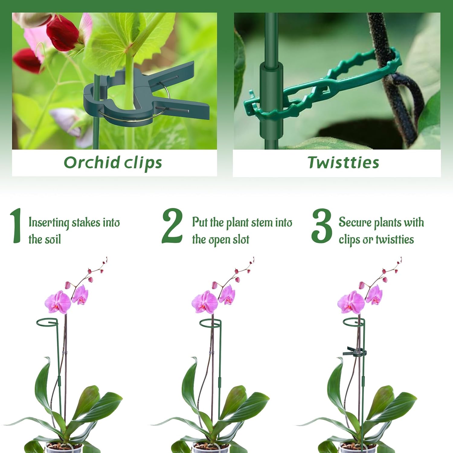Thumbnail 3 de Hanotic 6Pcs Plant Support Stakes 30cm 60cm 90cm
