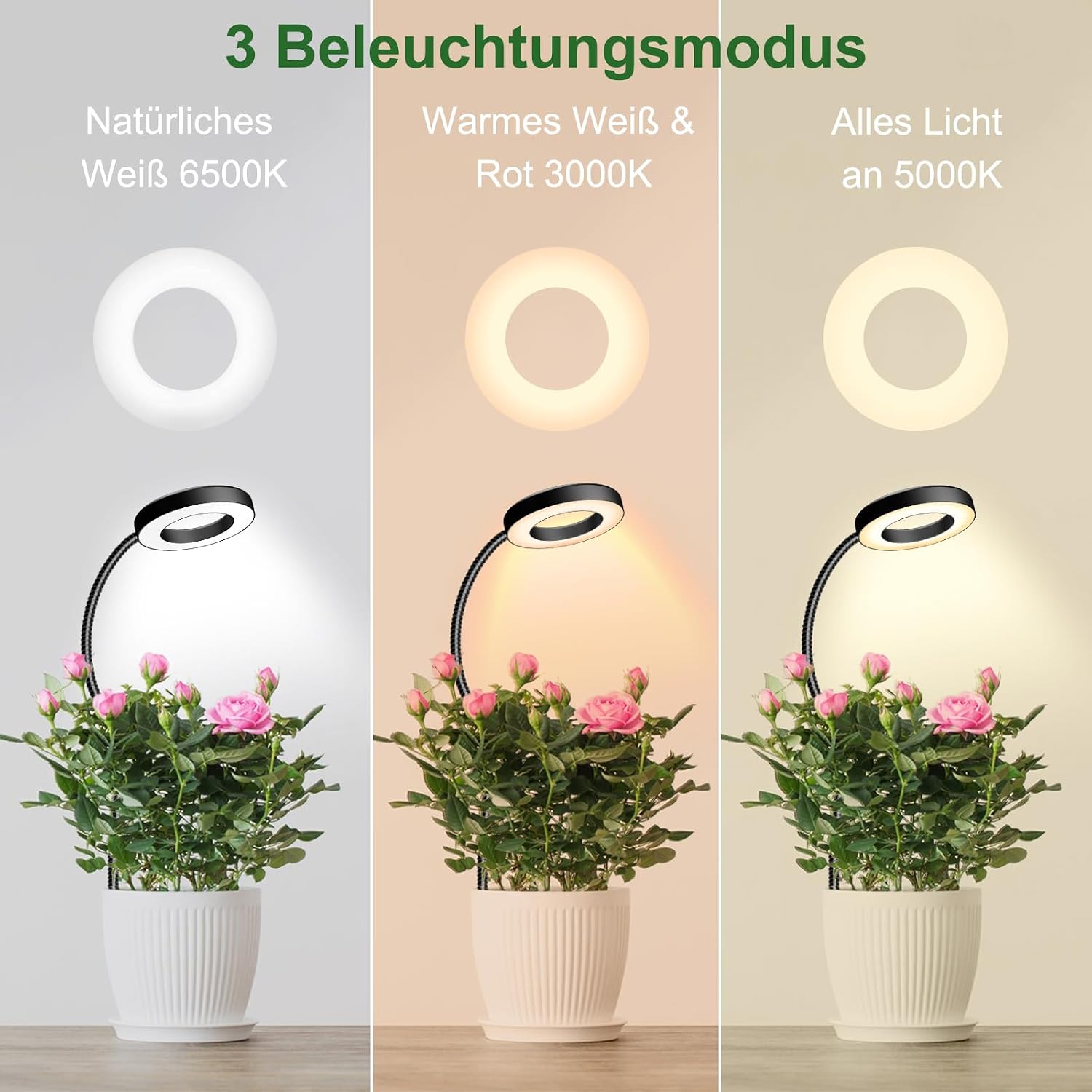 Thumbnail 2 de Wolezek Pflanzenlampe 360° đ±