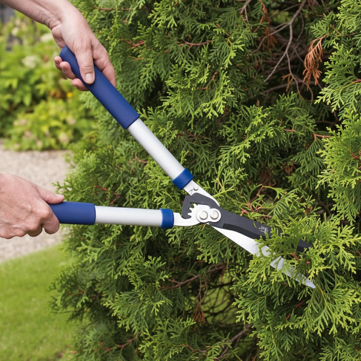 Detalle de Spear & Jackson 8170RS Razorsharp Geared Hedge Shear