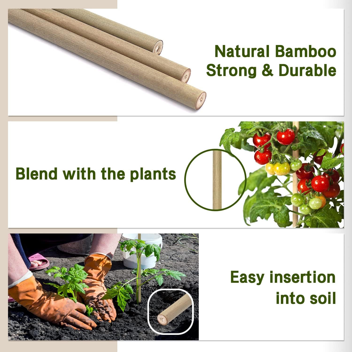 Detalle de BOVITRO XS-ZG-44.5 Bamboo Plant Stakes, 18-Inch, 20-Pack with Green Ties