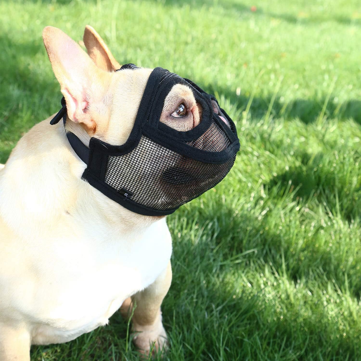 Detalle 2 de Adjustable Short Snout Dog Muzzle (Mesh) for Bulldogs, Pugs & More – Breathable Mouth Cover