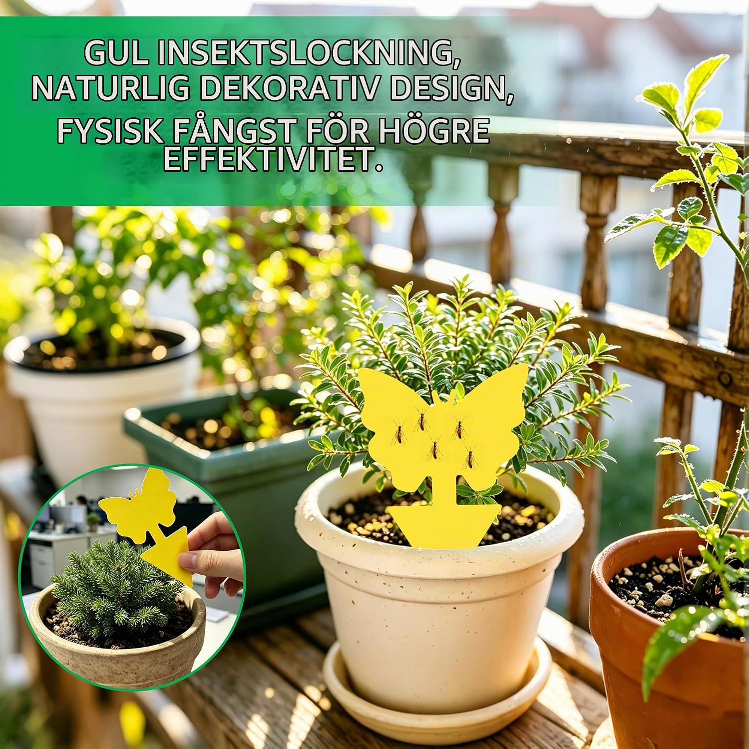 Thumbnail 5 de Xcdhemde DE-NCB-Gelb-60pcs gula insektsfällor, dubbelsidiga, 6 former