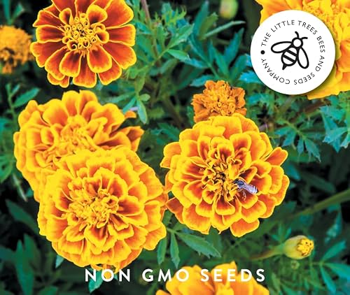 Detalle de Gourmet Edible Flower Seed Kit — 8 Varieties by The Little Trees Bees & Seeds Company
