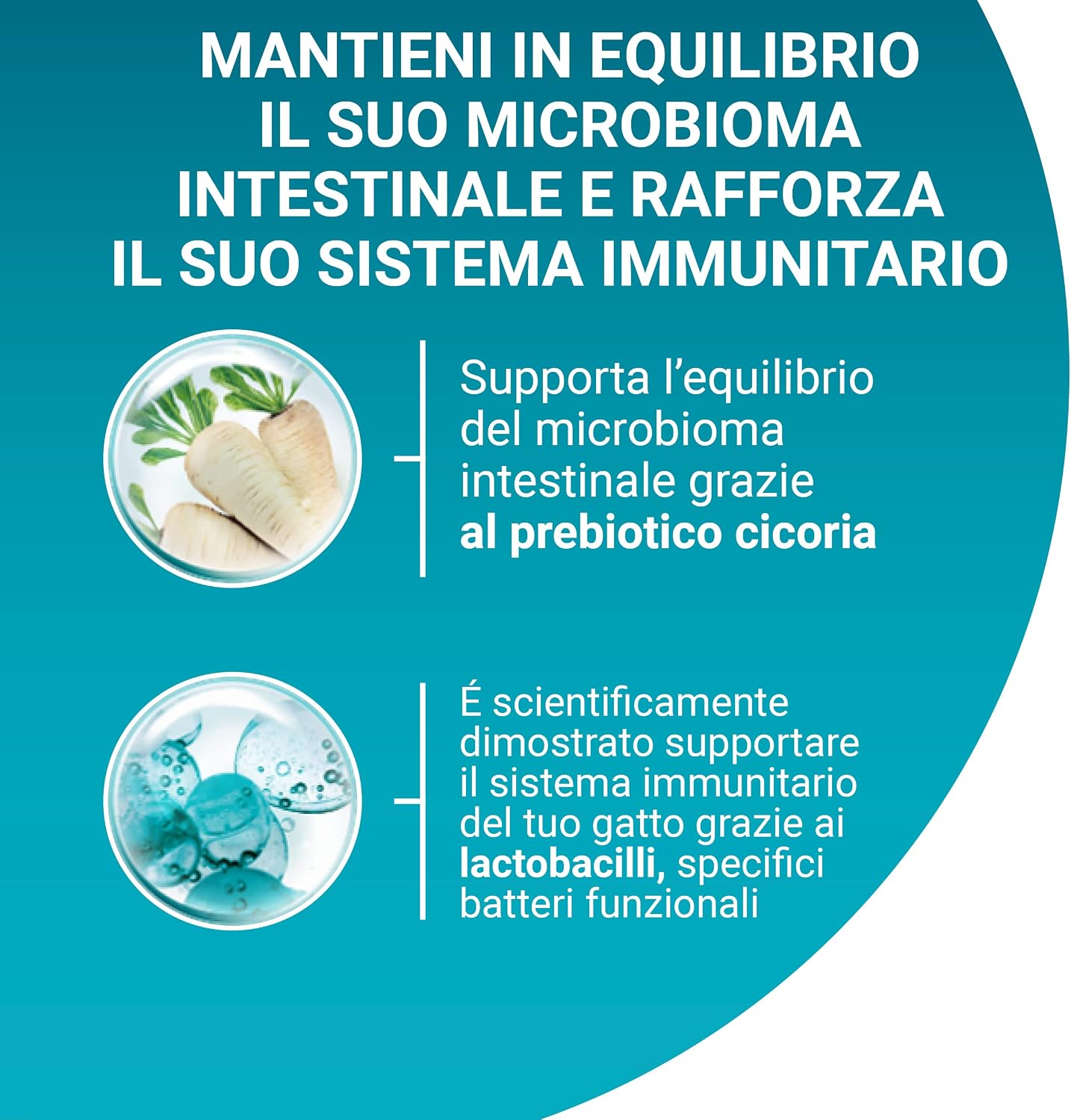 Detalle de PURINA ONE Bifensis Sterilcat 8 sacchi 🐱