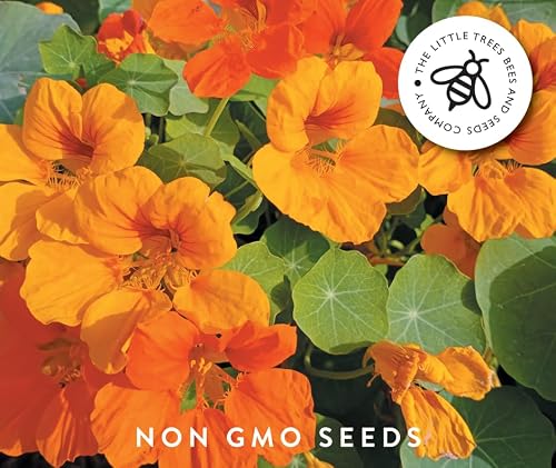 Thumbnail 7 de Gourmet Edible Flower Seed Kit — 8 Varieties by The Little Trees Bees & Seeds Company