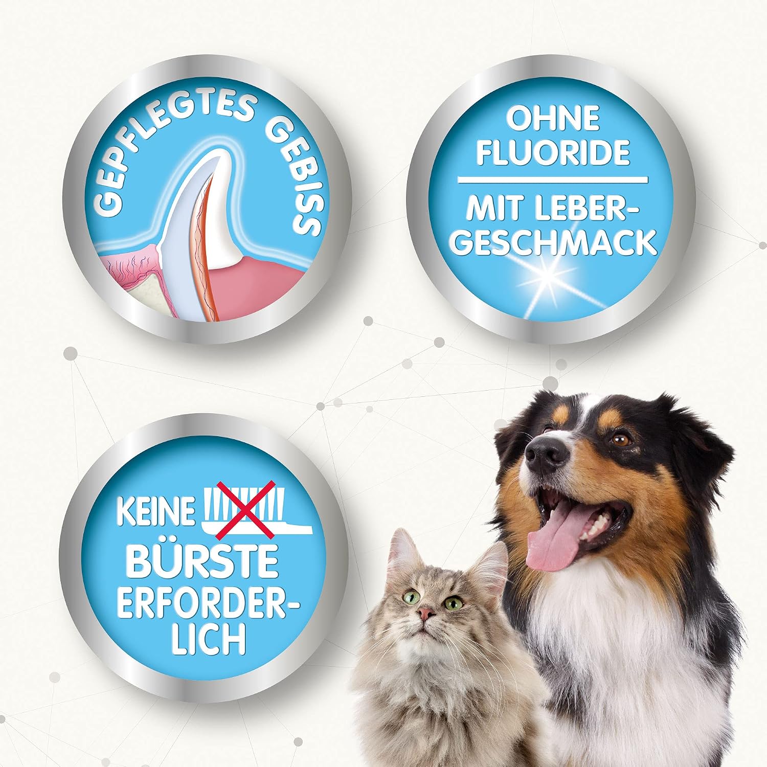 Detalle de Beaphar Zahnpflege Zerstäuber, 150 ml – für frischen Atem ohne Putzarbeit