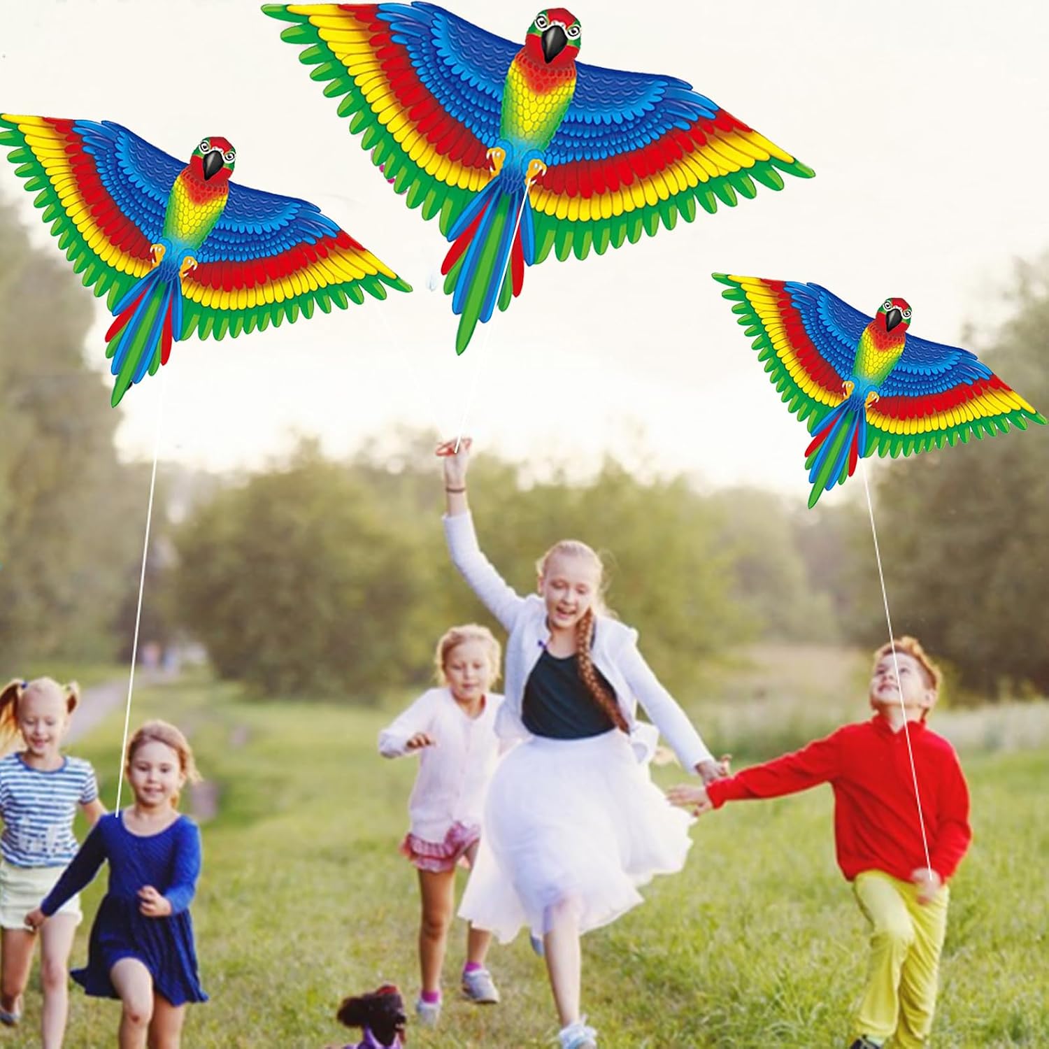 Thumbnail 4 de Large Parrot Kite 53x38 Inch – Colourful Single Line Kite with Long Tail and Winding Handle