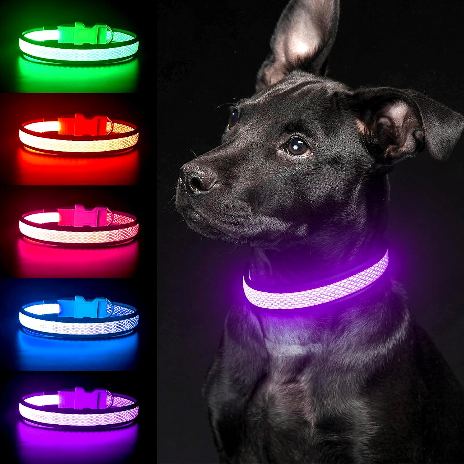 Detalle 2 de YFbrite LED Cat Collar USB‑Rechargeable XS