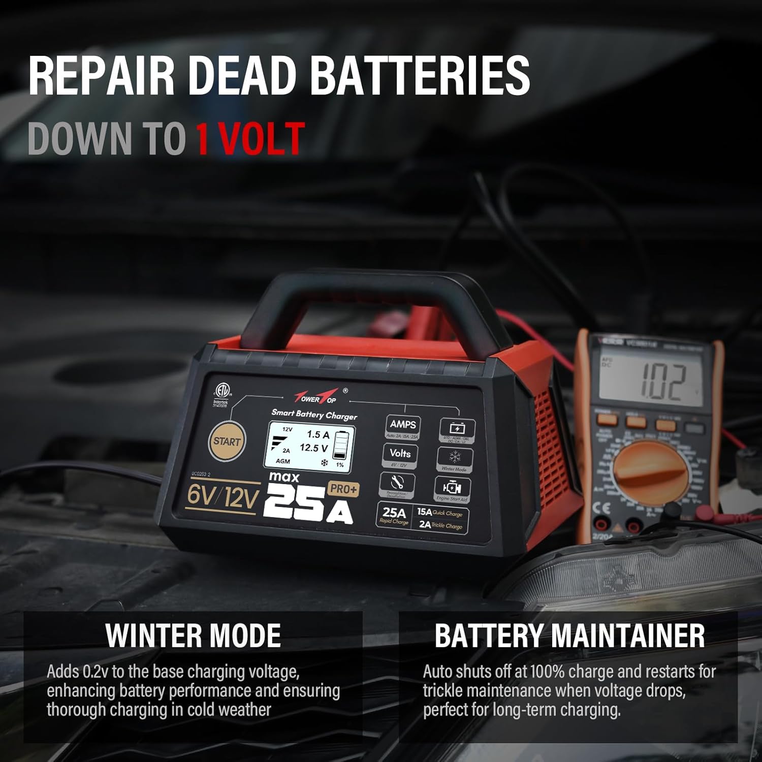 Thumbnail 3 de TowerTop 25A Pro+ 6V/12V Smart Charger