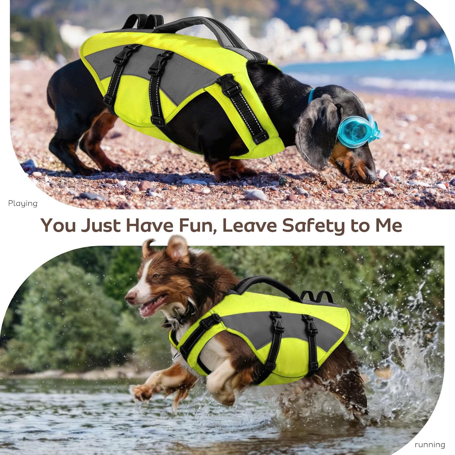 Thumbnail 6 de CITÉTOILE Dog Life Jacket with Handle & Reflective Strips (Green, Size L) – Buoyancy Aid Vest for Water Activities