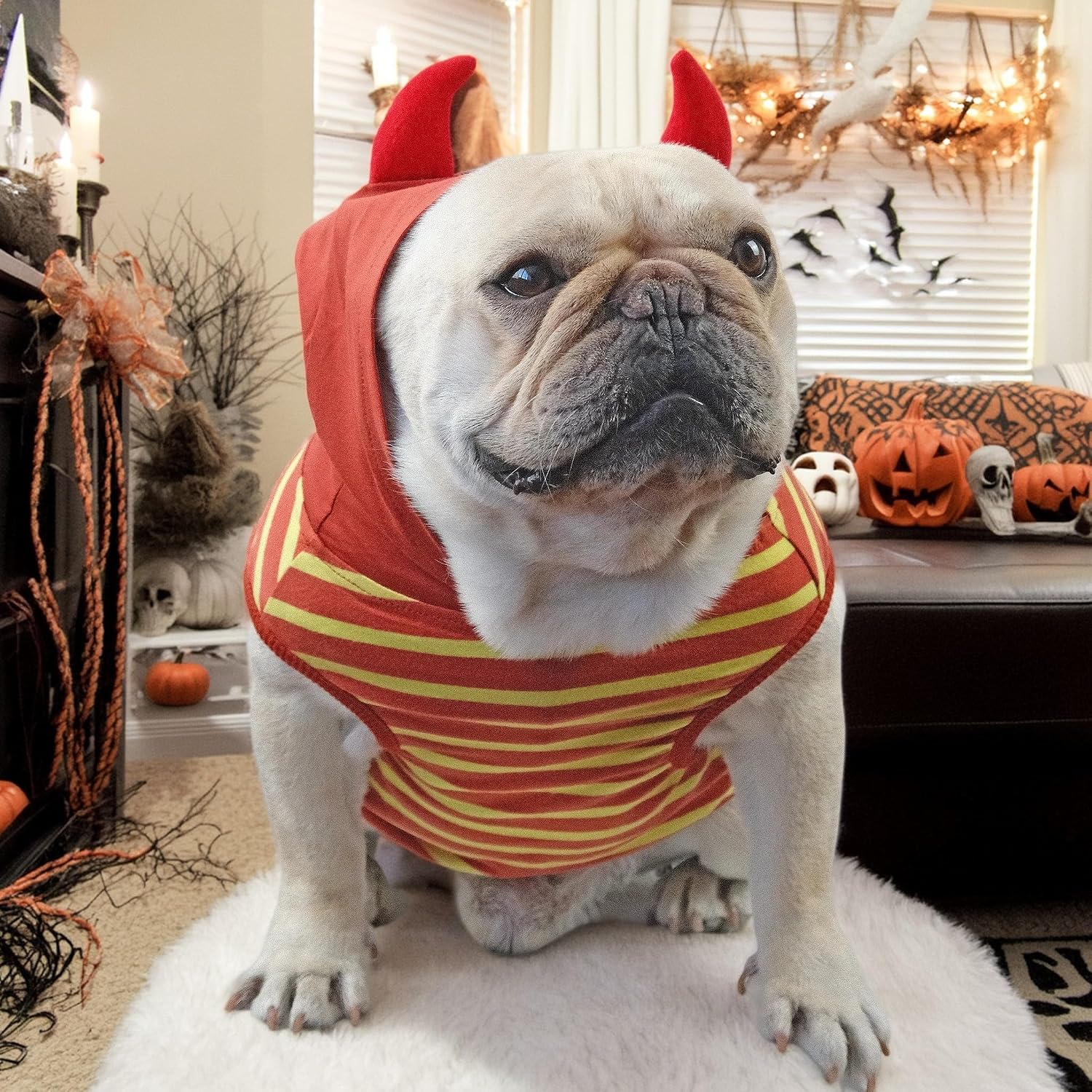 Thumbnail 1 de CHEERTAILS Dog Costume, 100% Cotton