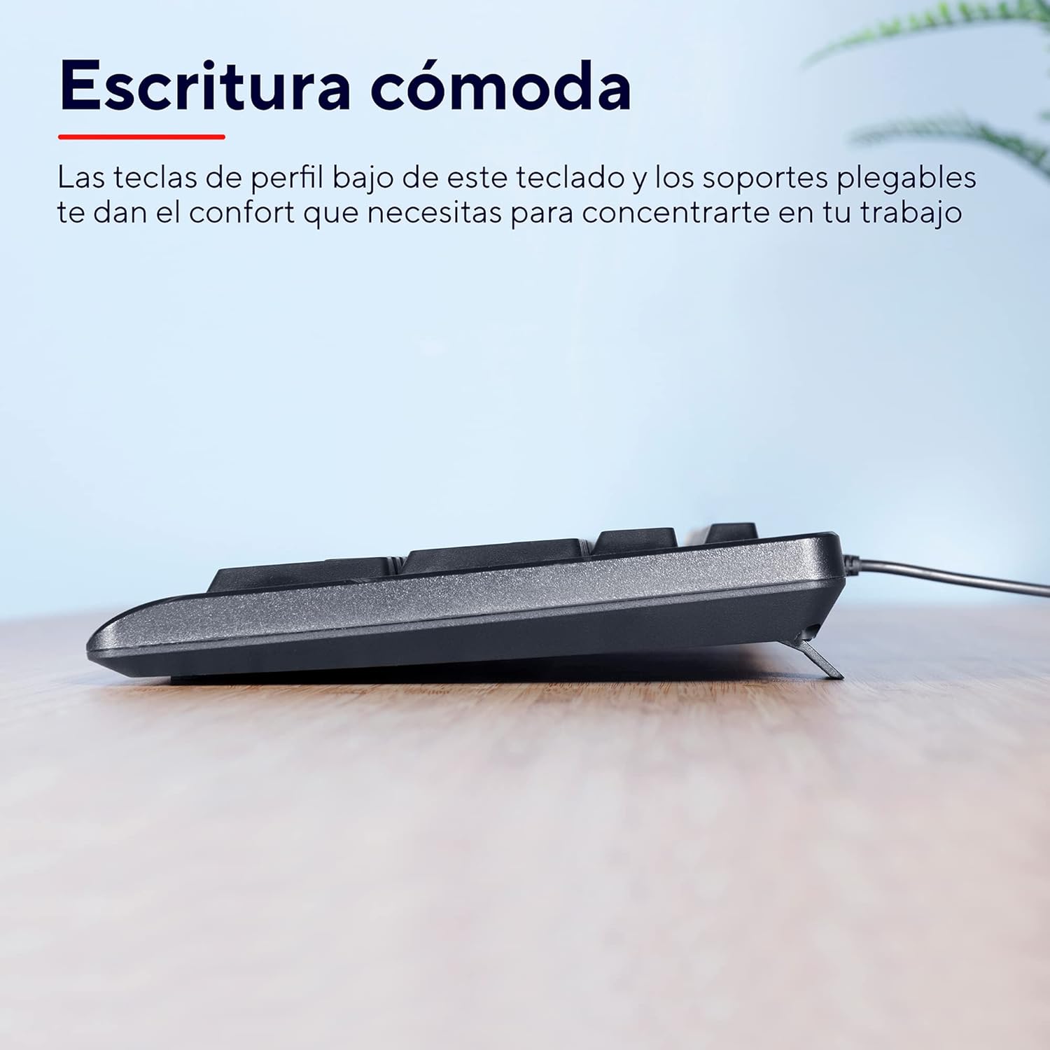 Detalle 1 de Trust Taro Pack Teclado y Ratón USB
