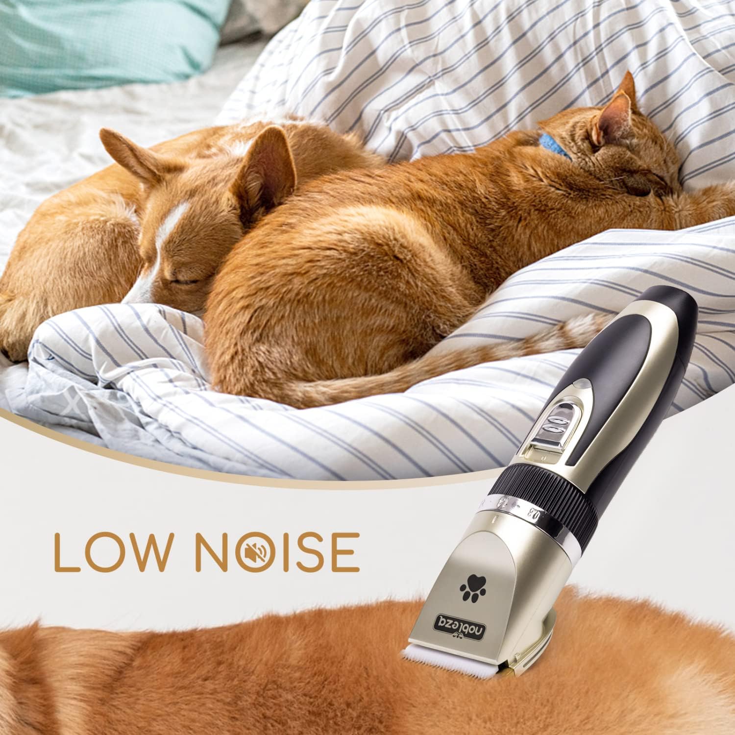 Thumbnail 5 de Nobleza Tondeuse Chien Professionnel 600 mAh