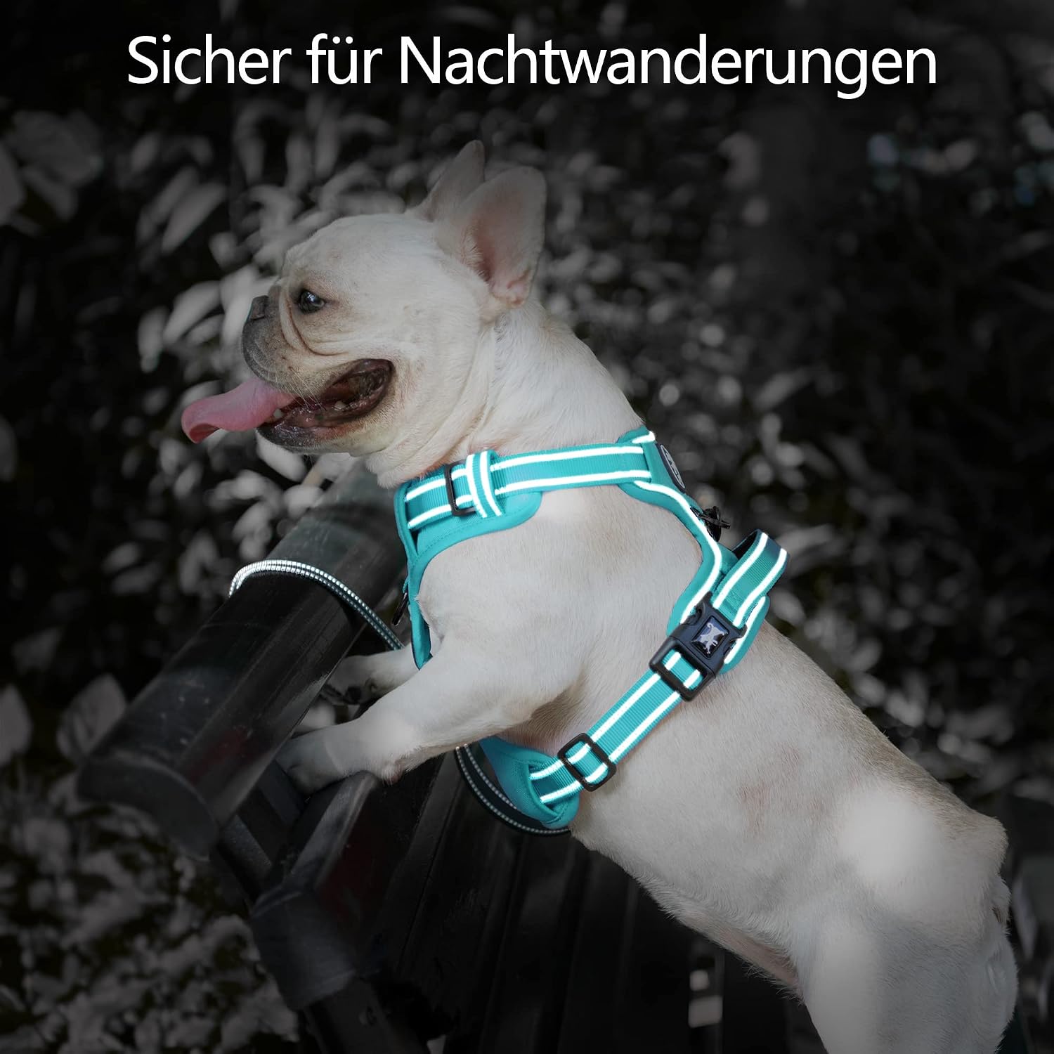 Detalle de PoyPet Hundegeschirr ohne Zug – Reflektierendes, verstellbares Geschirr für mittelgroße Hunde (Mint Blau, Größe M)