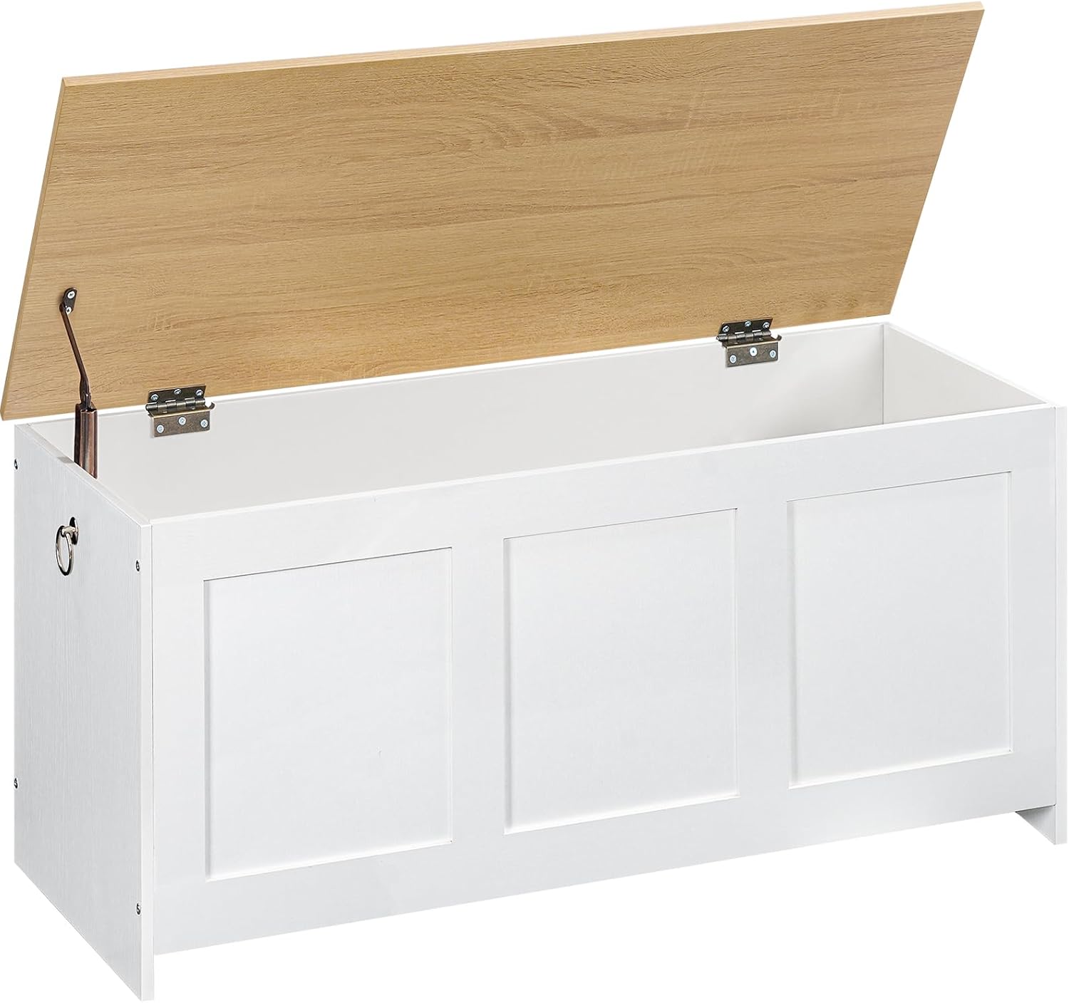 HOOBRO Cassapanca Portaoggetti da 100 cm con Cerniere di Sicurezza – stile e funzionalità per ingresso, camera e soggiorno