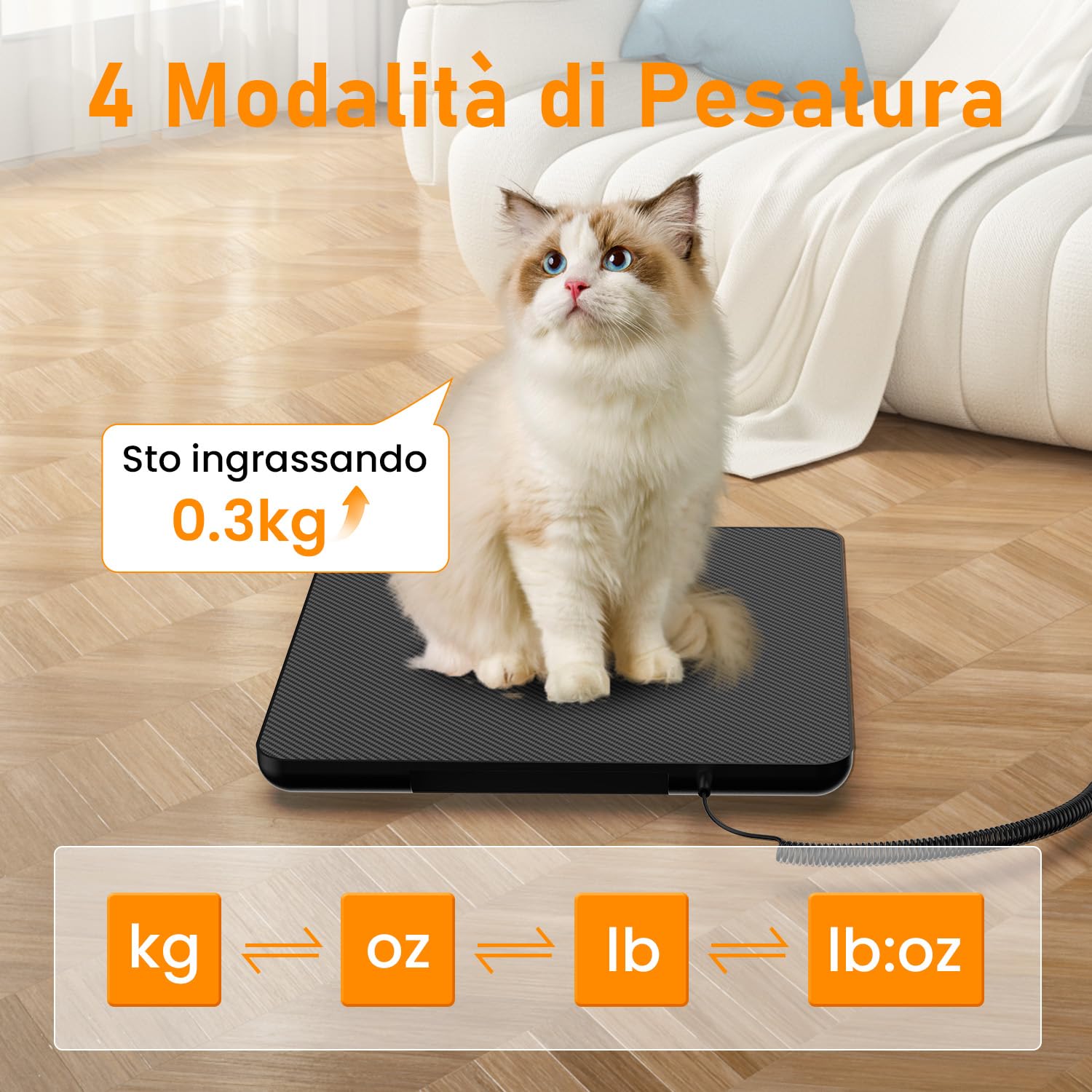 Detalle de Mefine Bilancia Pesa Pacchi Digitale 200 kg – Recensione e guida all'acquisto