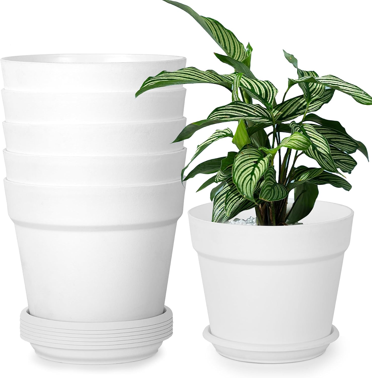 Detalle de Solvant: Set di 6 vasi per piante da esterno con sottobicchieri e do entrati, 16 cm, bianco