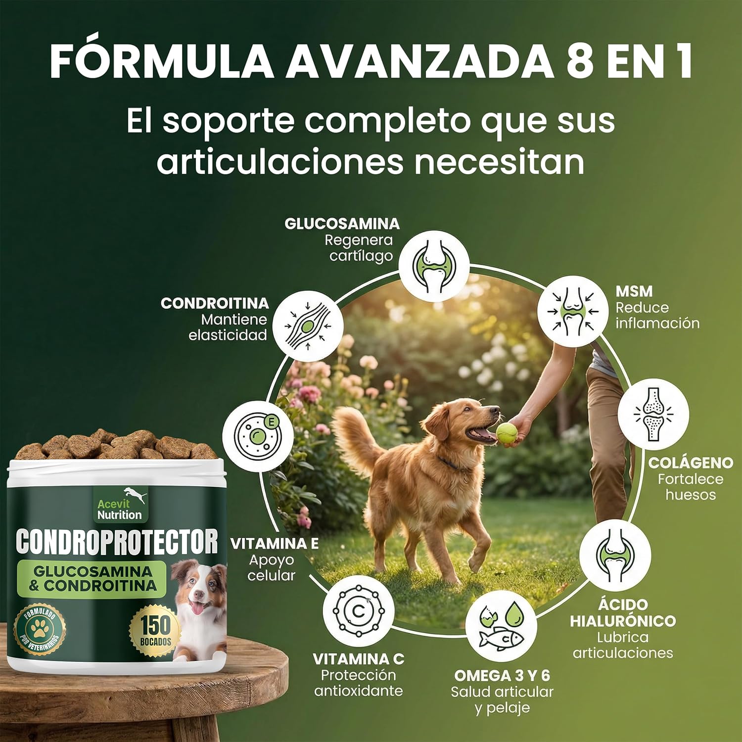 Detalle 2 de Acevit Nutrition Condroprotector para Perros 100% Natural (150 uds) con glucosamina, condroitina y MSM