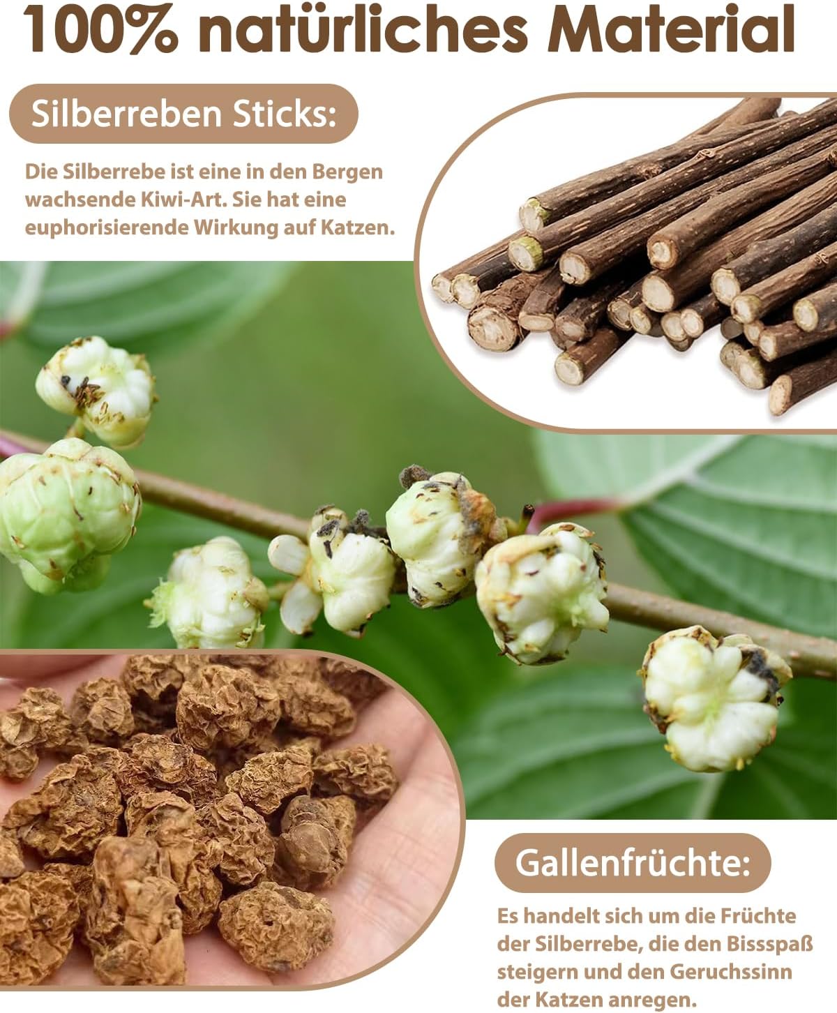Detalle 2 de Nepfaivy Katzenspielzeug Katzenminze Sticks – 6 Stück Silbervine-Kauspielzeug für Katzen