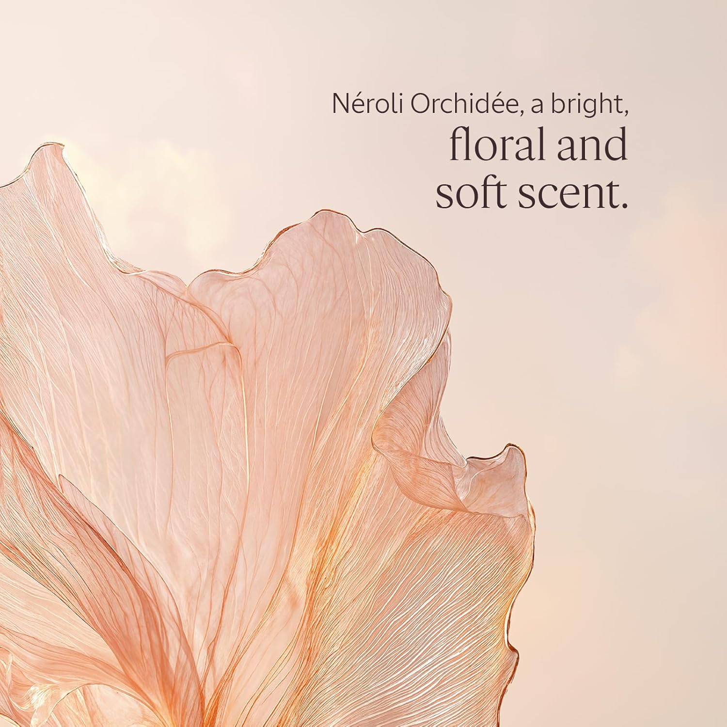 Detalle de L'Occitane Neroli Orchidée Shower Gel (Neroli Orchid) 250 ml