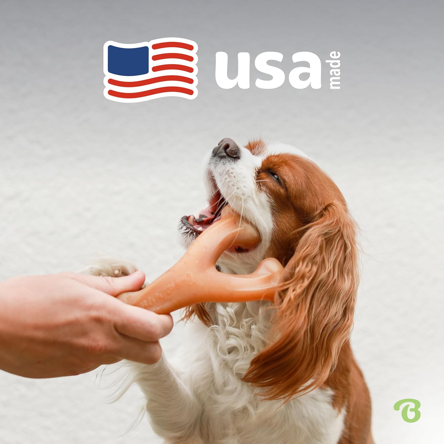 Thumbnail 4 de Benebone Wishbone Durable Dog Chew Toy per masticatori aggressivi, Real Chicken, Large, Made in USA