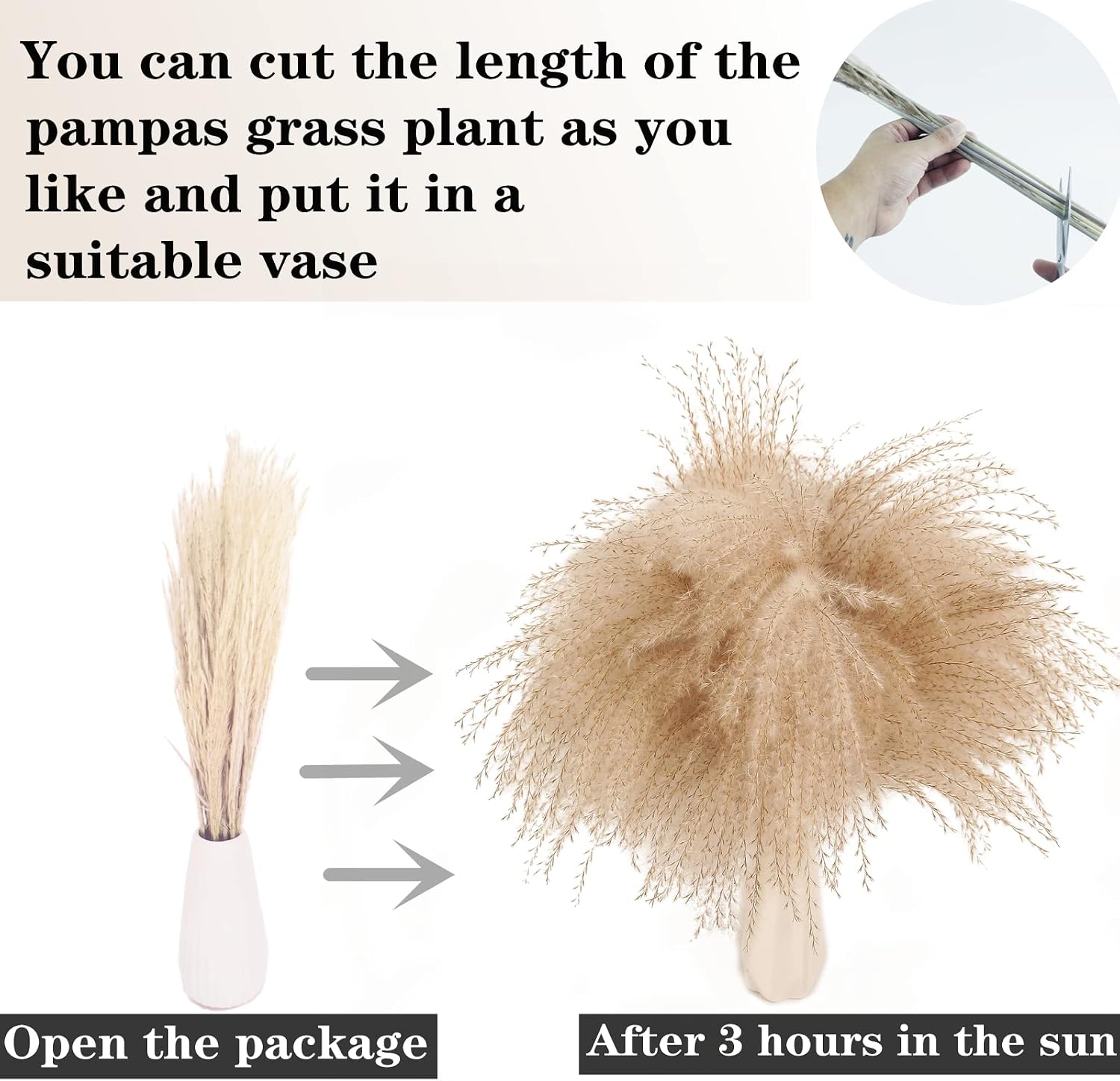 Detalle de ANPROOR SD-1 Dried Pampas Grass Bouquet, 100 Stems, 17-Inch White and Brown