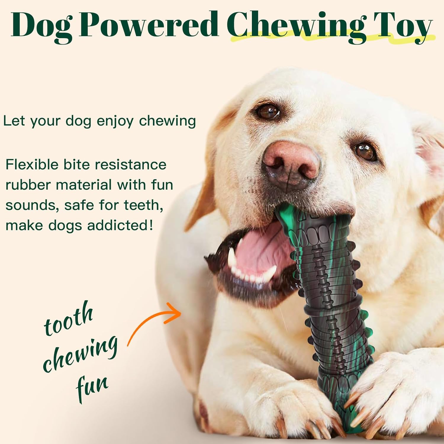 Thumbnail 2 de HETOO Indestructible Skull Chew Toy for Aggressive Chewers (Natural Rubber) – Squeaker, Tough Stick Style