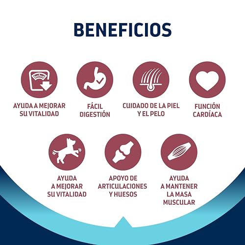 Detalle de Advance Medium Senior 12 kg pienso senior