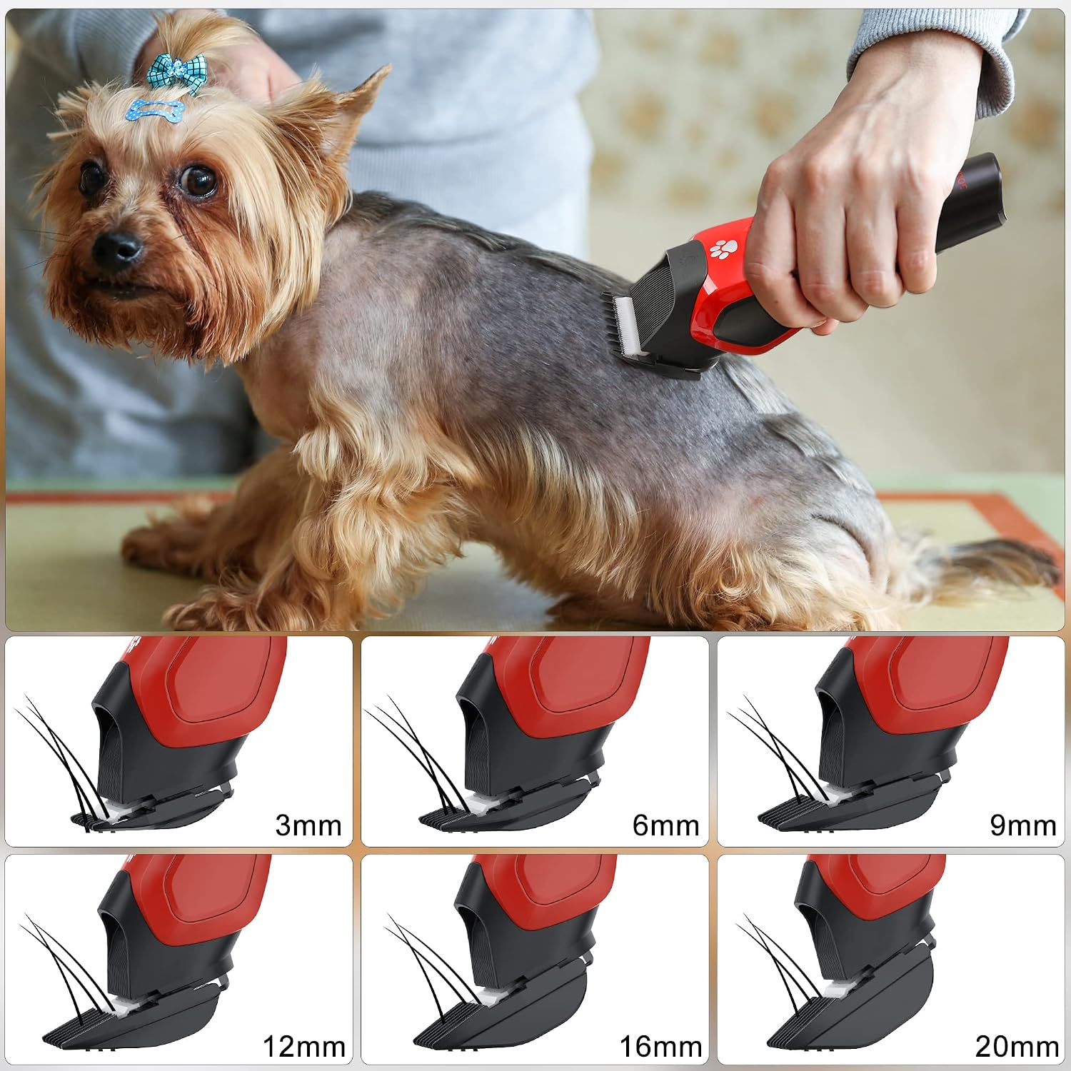 Thumbnail 4 de Solimpia Profi Hundeschermaschine – leiser kabelloser Tierhaarschneider für Hund und Katze