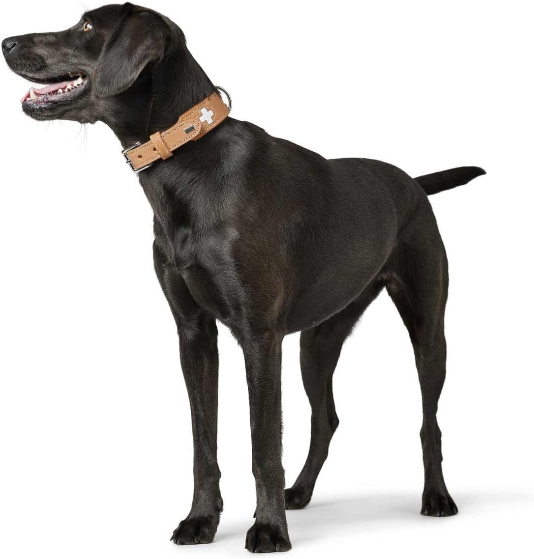 Detalle de HUNTER Swiss Hundehalsband aus hochwertigem Rindleder, natur/beige, 50 – handgenäht